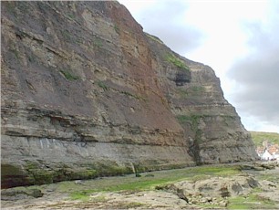 Sedimentary layers in the rocks of the cliffs at Penny Nab in Staithes