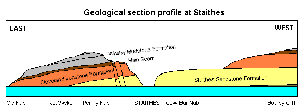 Geological section profile at Staithes, North Yorkshire