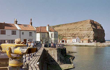 Cowbar Nab and the Cod'n'Lobster Public House from Seaton Garth at Staithes